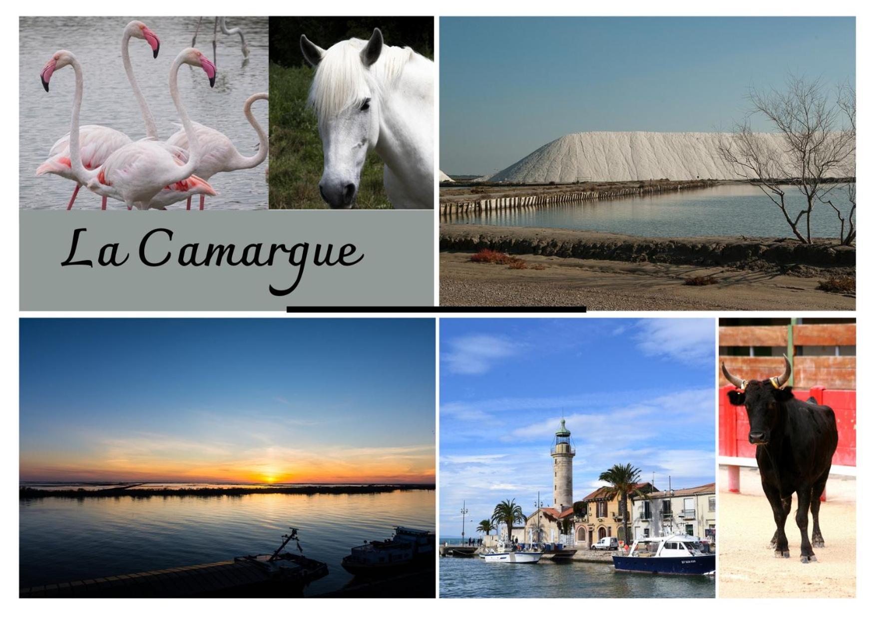 Immeuble 3 Apparts Centre Historique St Gilles Maisoncarreeconciergerie 생 질 외부 사진